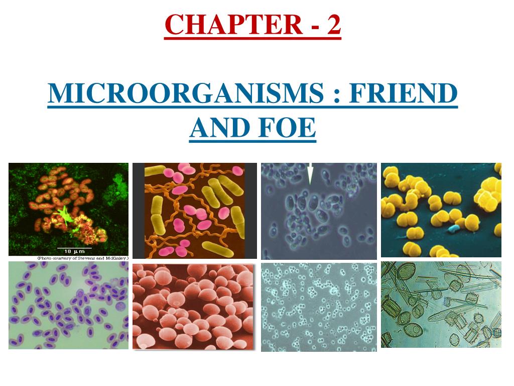 Microorganisms, Free Full-Text