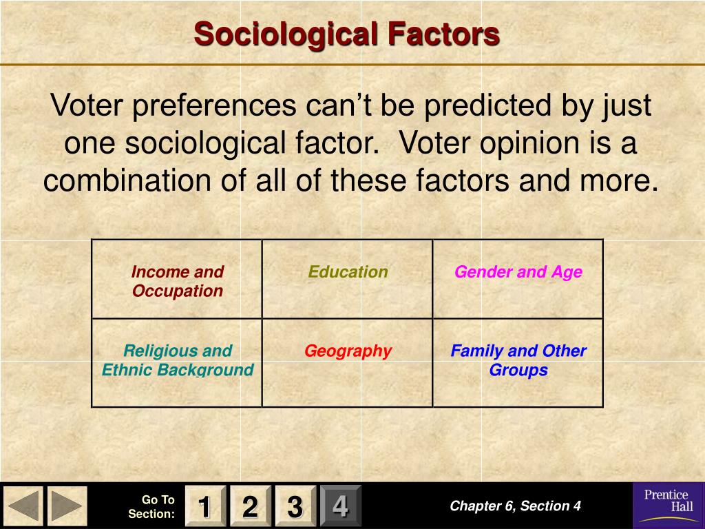 Sociological Factors Of Society s Behavior
