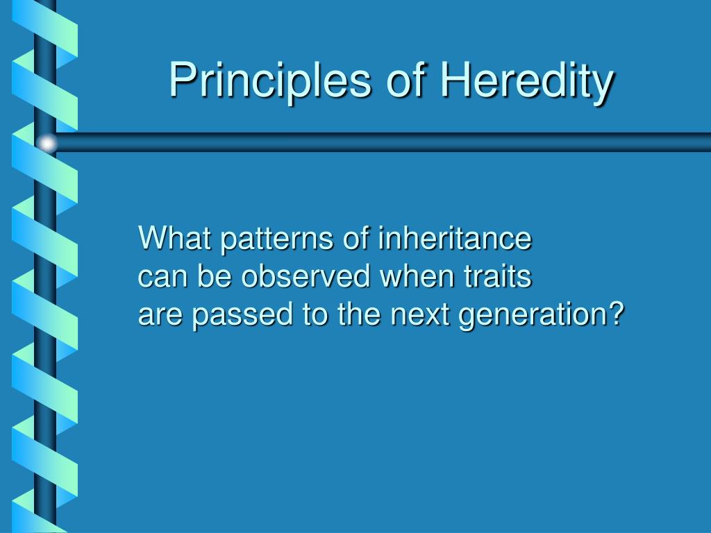Ppt Principles Of Heredity Powerpoint Presentation Free Download Id 714637