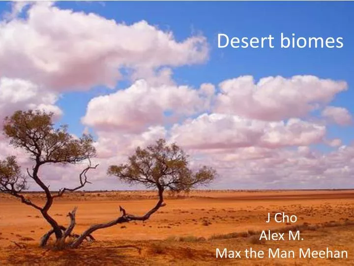 desert biomes n.