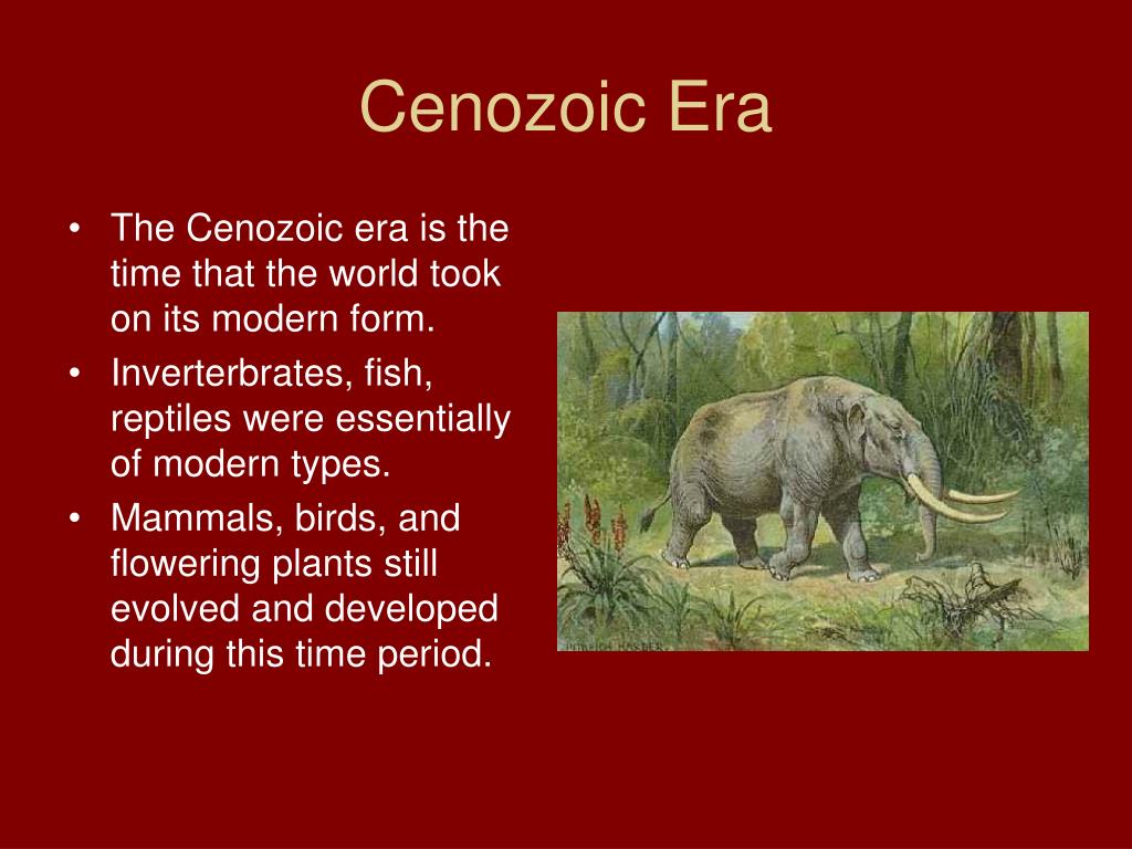 PPT - Cenozoic Era The age of Mammals PowerPoint Presentation, free ...