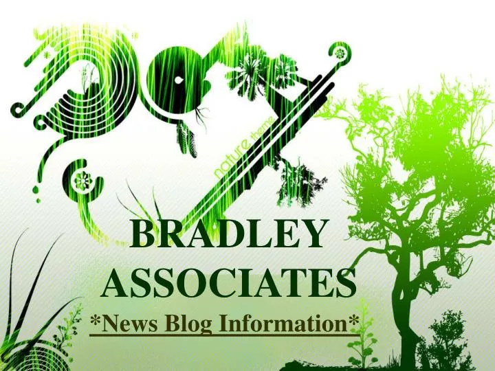 bradley associates n.
