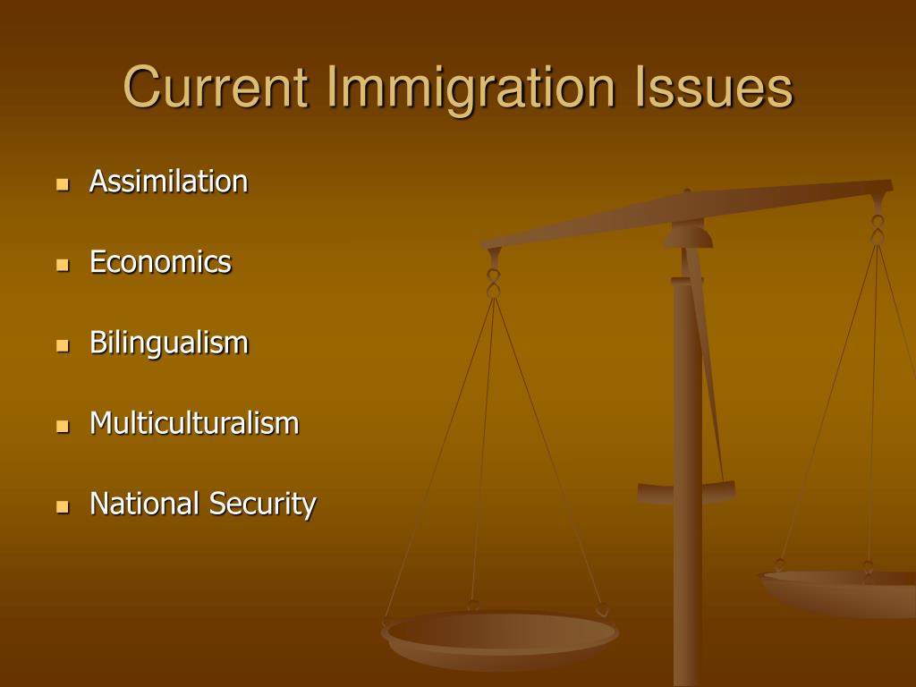 PPT U.S. Immigration History and Current Issues PowerPoint