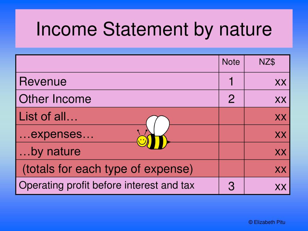 presentation of income statement by nature