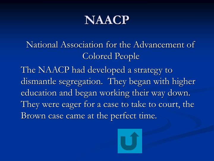 the impact of the national association for advancement of colored people in america National association for the advancement of colored people name the national association for the advancement of a history of jews in america of. the impact of the national association for advancement of colored people in america National association for the advancement of colored people name the national association for the advancement of a history of jews in america of.