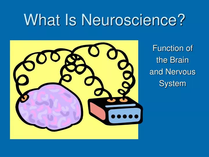 PPT What Is Neuroscience PowerPoint Presentation Free Download ID ppt-what-is-neuroscience-powerpoint-presentation-free-download-id