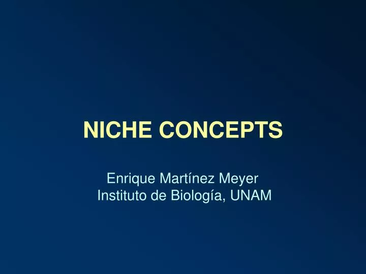 niche concepts n.