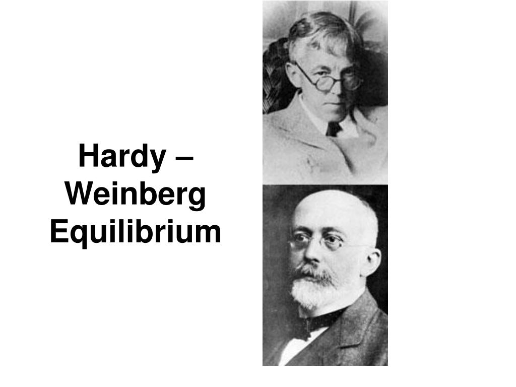 Харди математик. Харди Вайнберга портрет. Харди Вайнберг фото. Харди Вайнберга ученые.