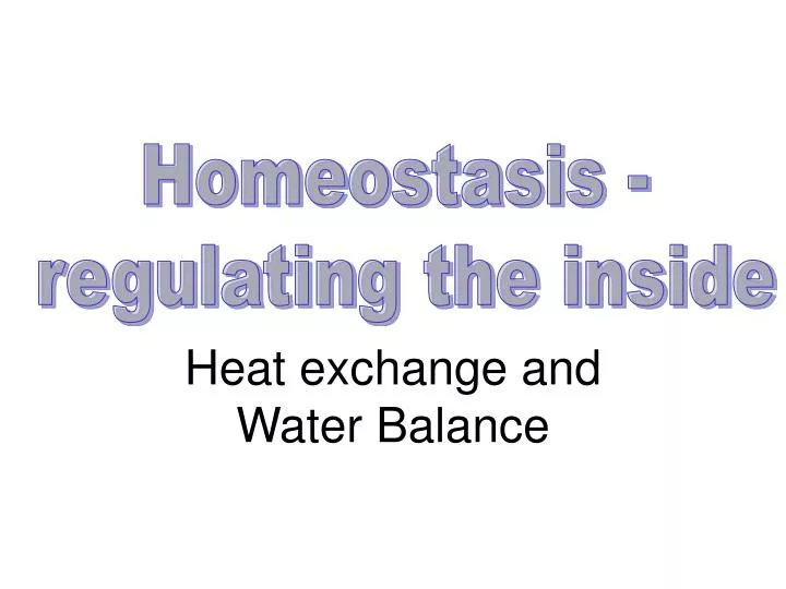 heat exchange and water balance n.