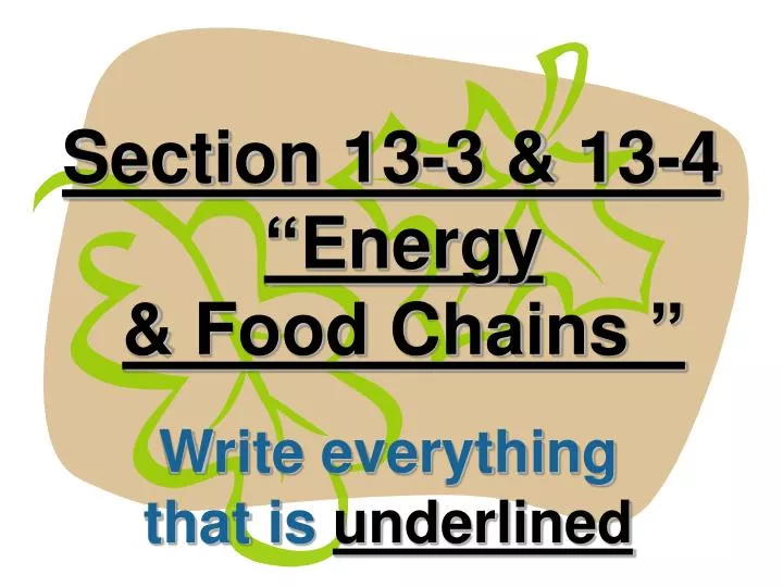 section 13 3 13 4 energy food chains n.