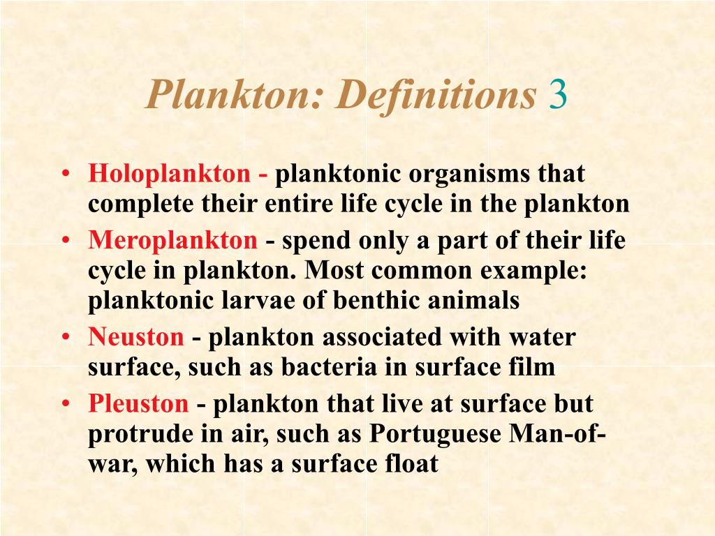 PPT - 7 The Water Column Plankton PowerPoint Presentation, free download -  ID:726682