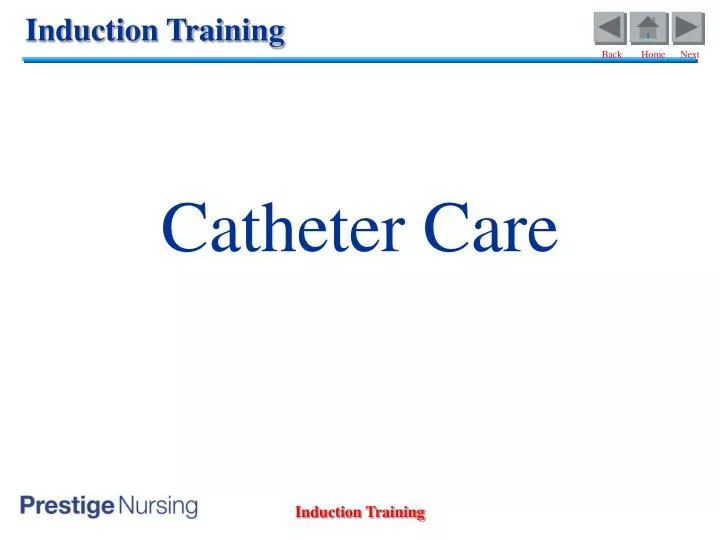 catheter care n.