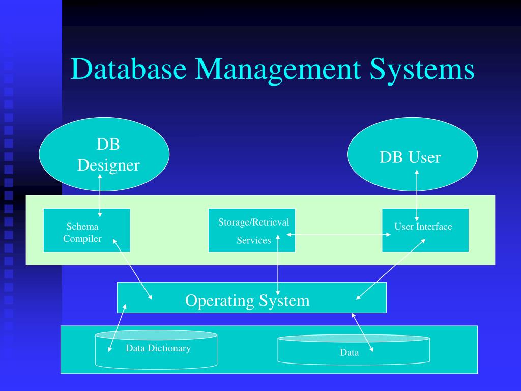 User schema. Database Systems презентация. Database Management System. Базы данных DBMS. Система управления базами данных.
