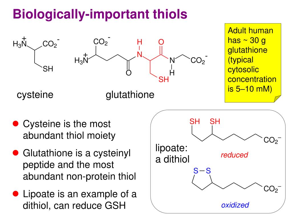 Глутатион цистеин. Глутатион строение. Цистеинил Дофа. Oxidation of thiols.