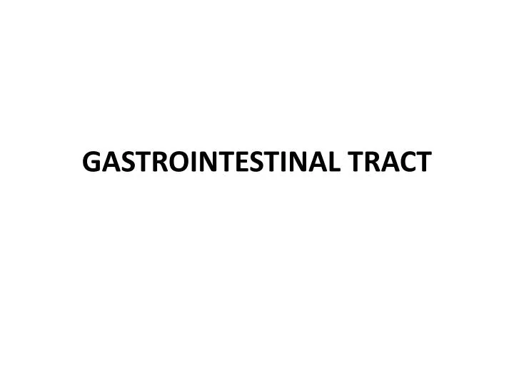 gastrointestinal tract n.