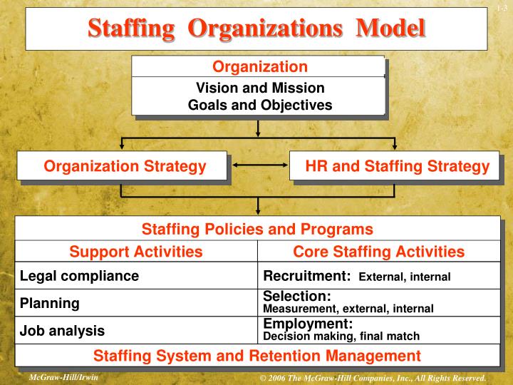 staffing model
