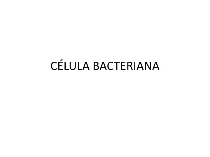 c lula bacteriana n.