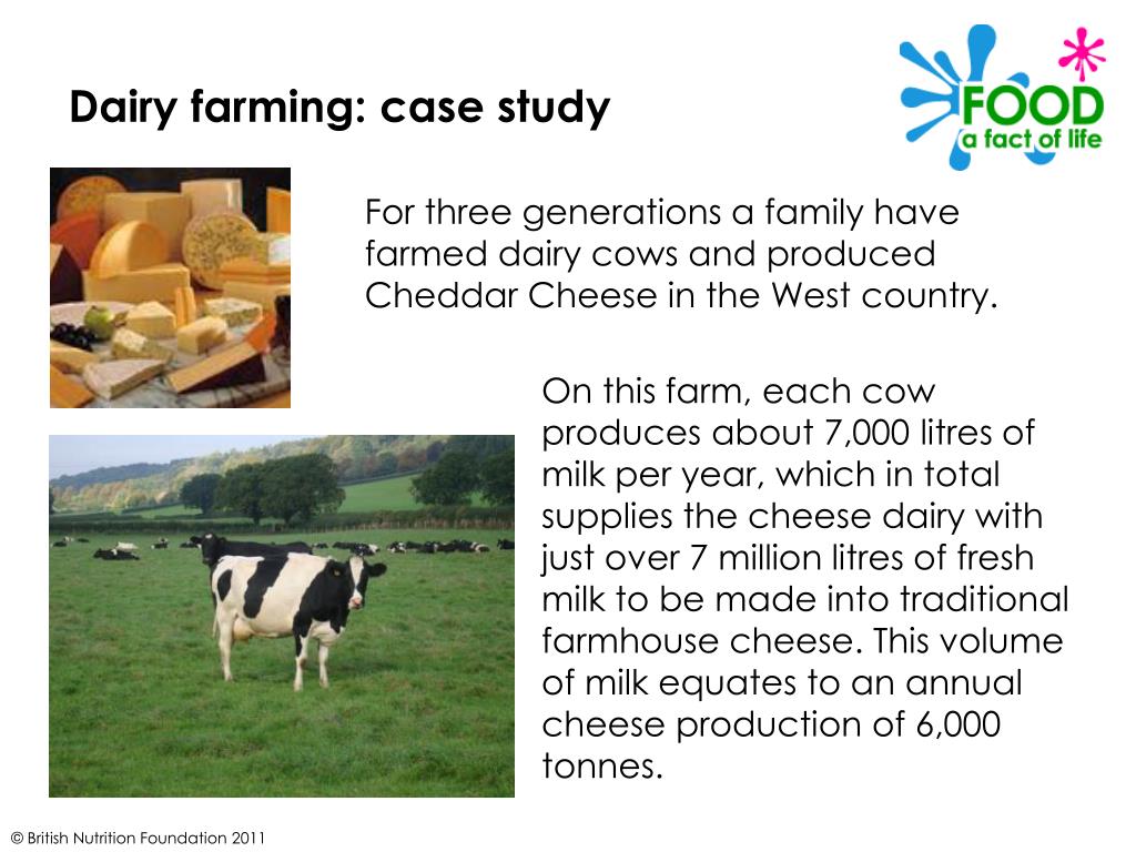 case study on dairy project