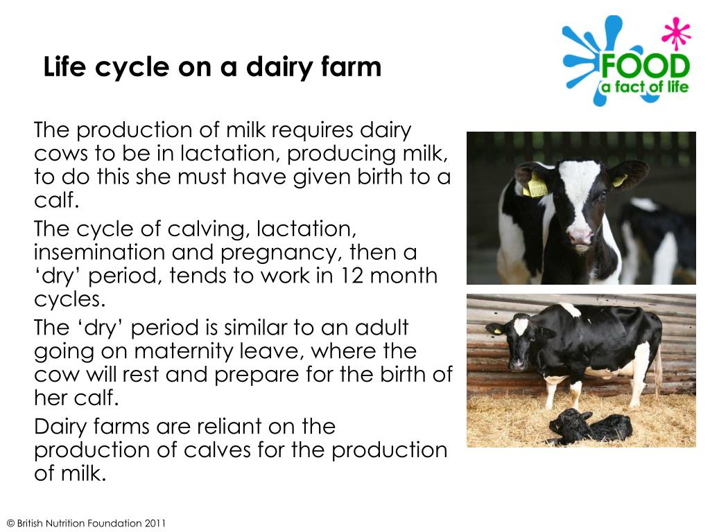 Farming Life Cycle
