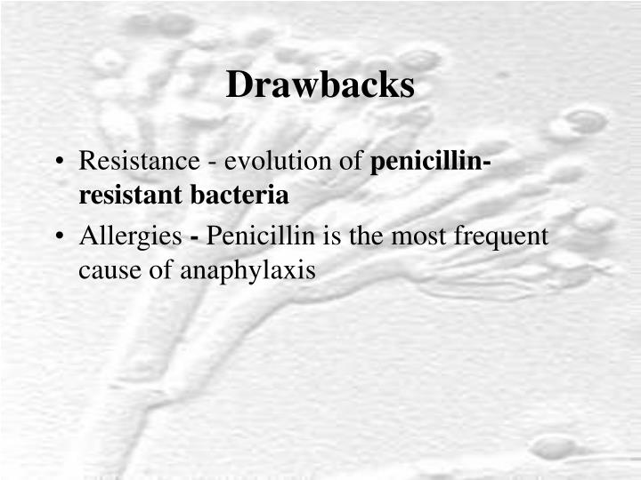 PPT - Plants and Fungi Used to Treat Infectious Disease PowerPoint ...