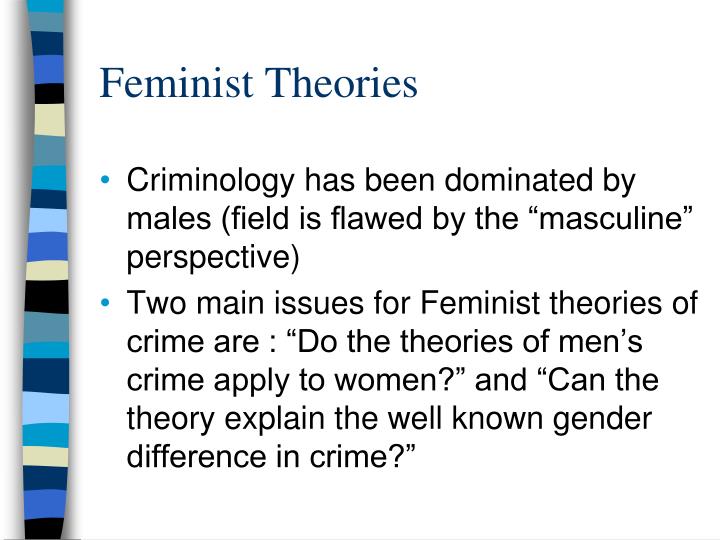 what is the feminist theory