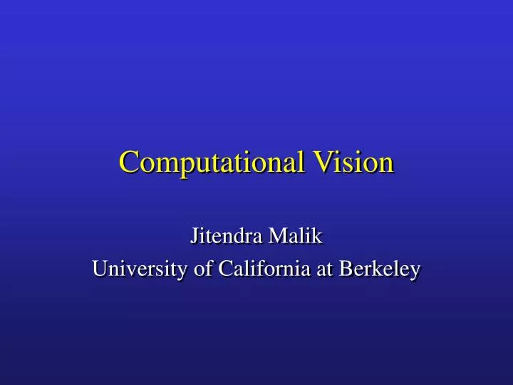 computational vision n.