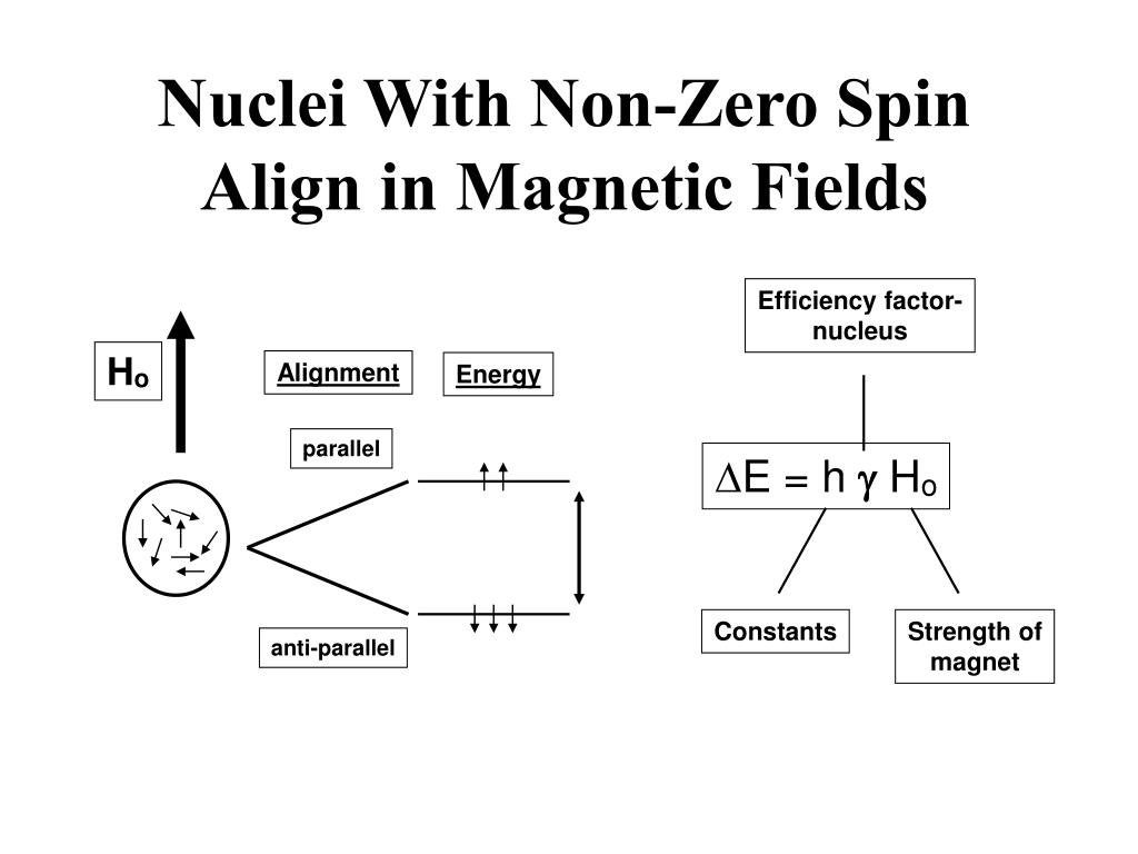 the reactivity of an atom arises primarily from the the reactivity of an atom arises primarily from the