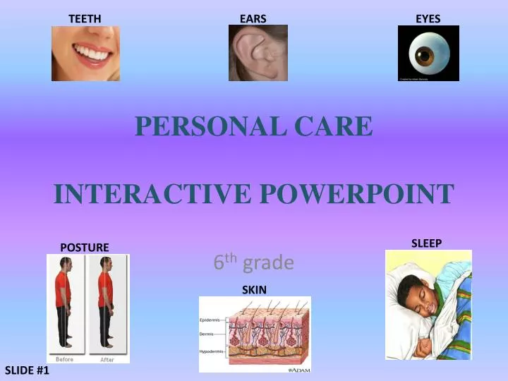 PPT - PERSONAL CARE INTERACTIVE POWERPOINT PowerPoint Presentation ...
