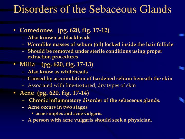 sebaceous gland hyperplasia คือ
