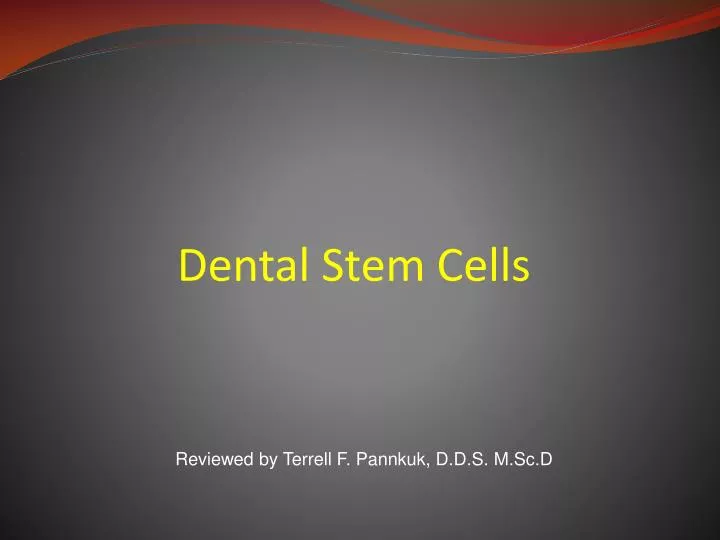 dental stem cells n.