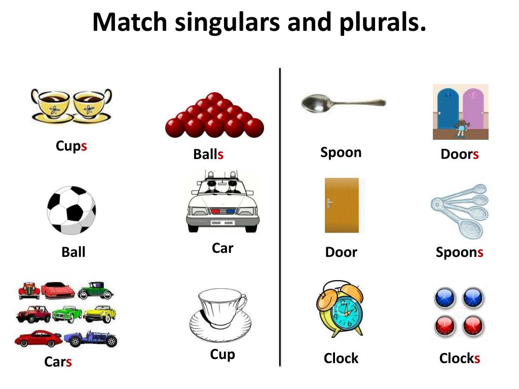 Dish plural. Singular and plural Nouns презентация. Singular plural. Презентация singular and plural. Match singular and plural.