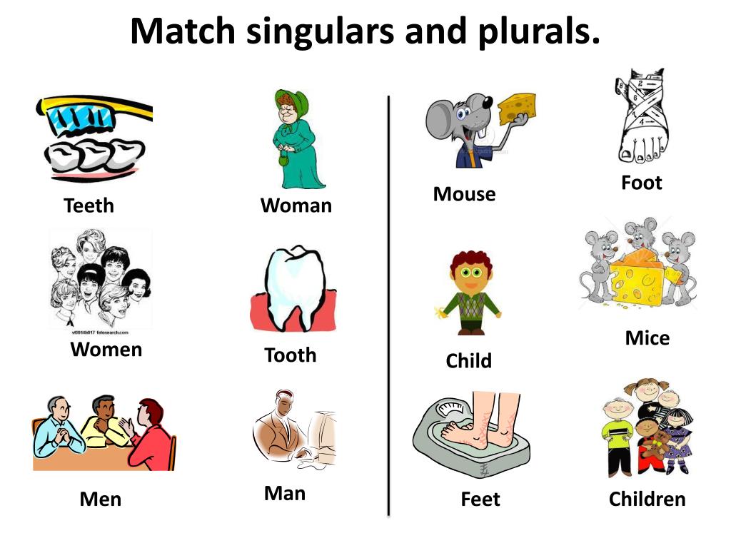 Dish plural. Singular and plural Nouns презентация. Plural Nouns игры. Irregular plurals for Kids. Worksheet множественное число существительных в английском.