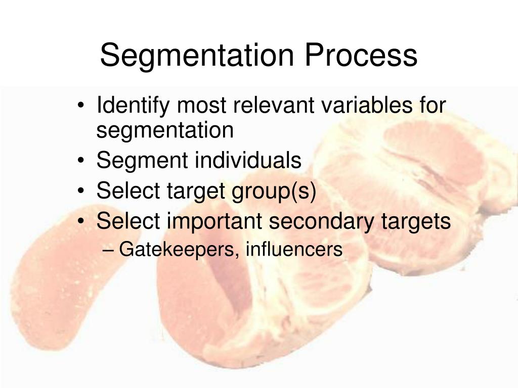 Segmentation Process Defination PPT - Introduction to Social Marketing Thanks to: Dr. Debra Basil ...