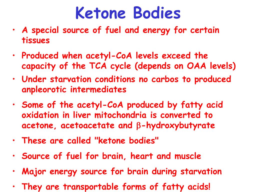 PPT - Fatty Acid Catabolism ( B -oxidation) PowerPoint Presentation ...