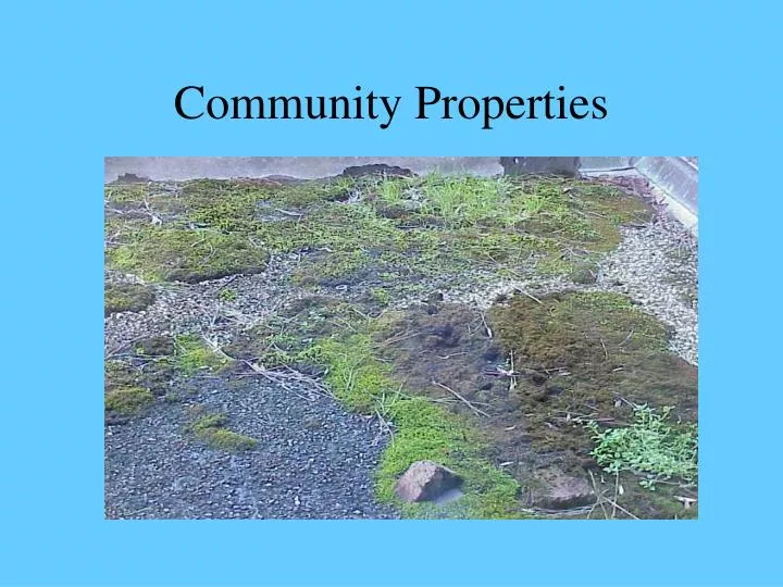 community properties n.