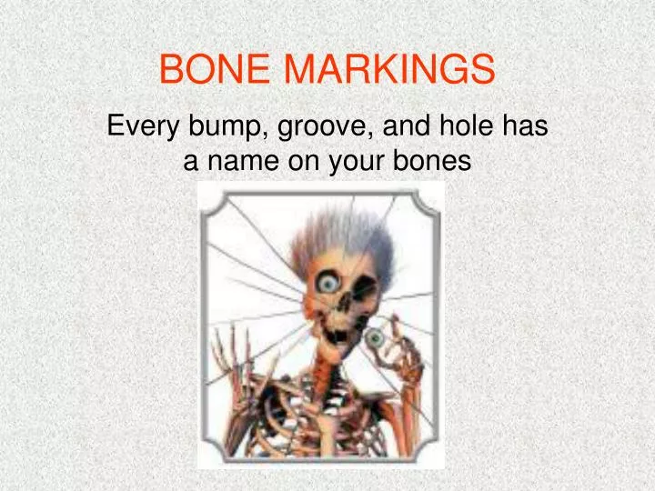 bone markings n.