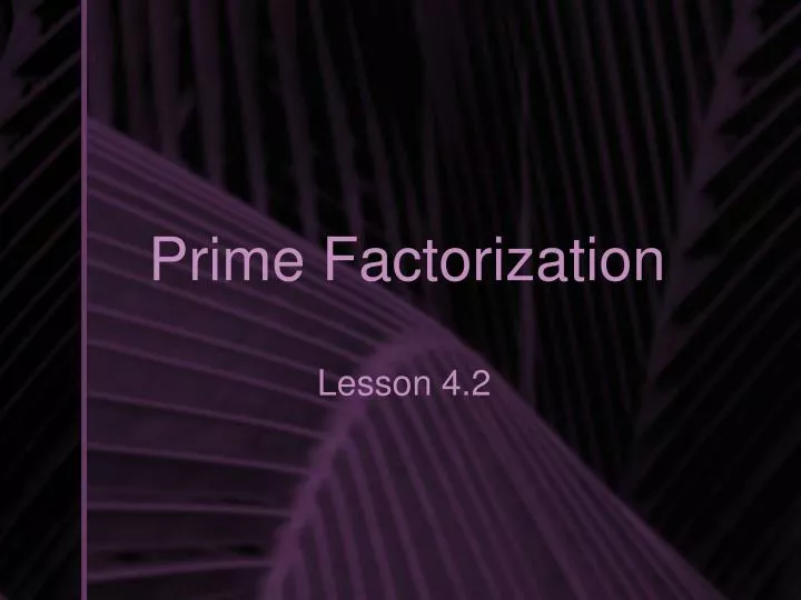 prime factorization n.