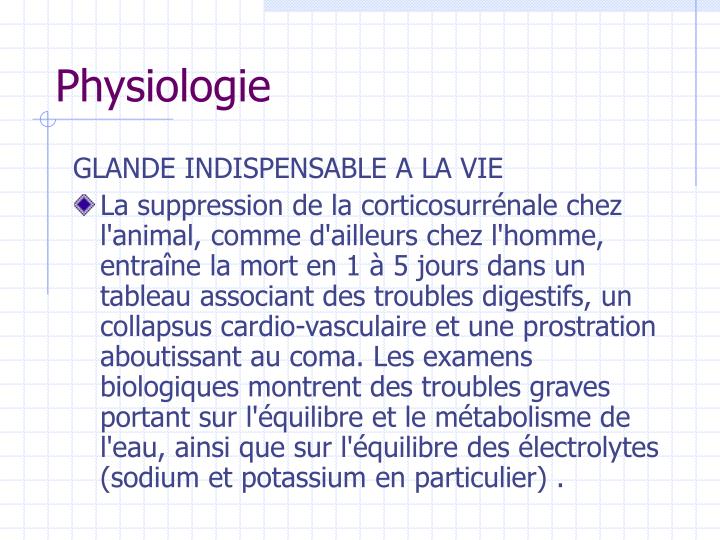 PPT - GLANDES SURRENALES PowerPoint Presentation - ID:737181