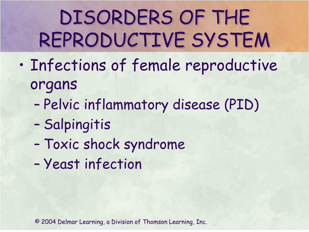 Ppt Reproductive System Powerpoint Presentation Free Download Id737718 