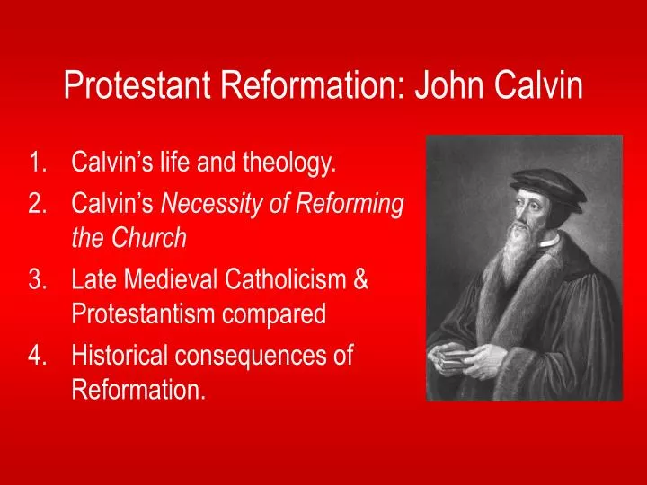 protestant reformation john calvin n.