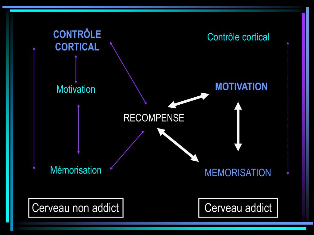 PPT - De la théorie de l’attachement à la neurobiologie de l’addiction ...