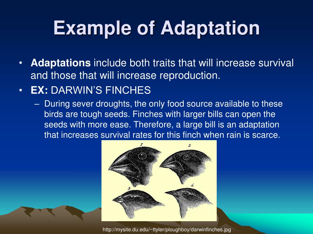 PPT  Chapter 9 PowerPoint Presentation, free download  ID740191