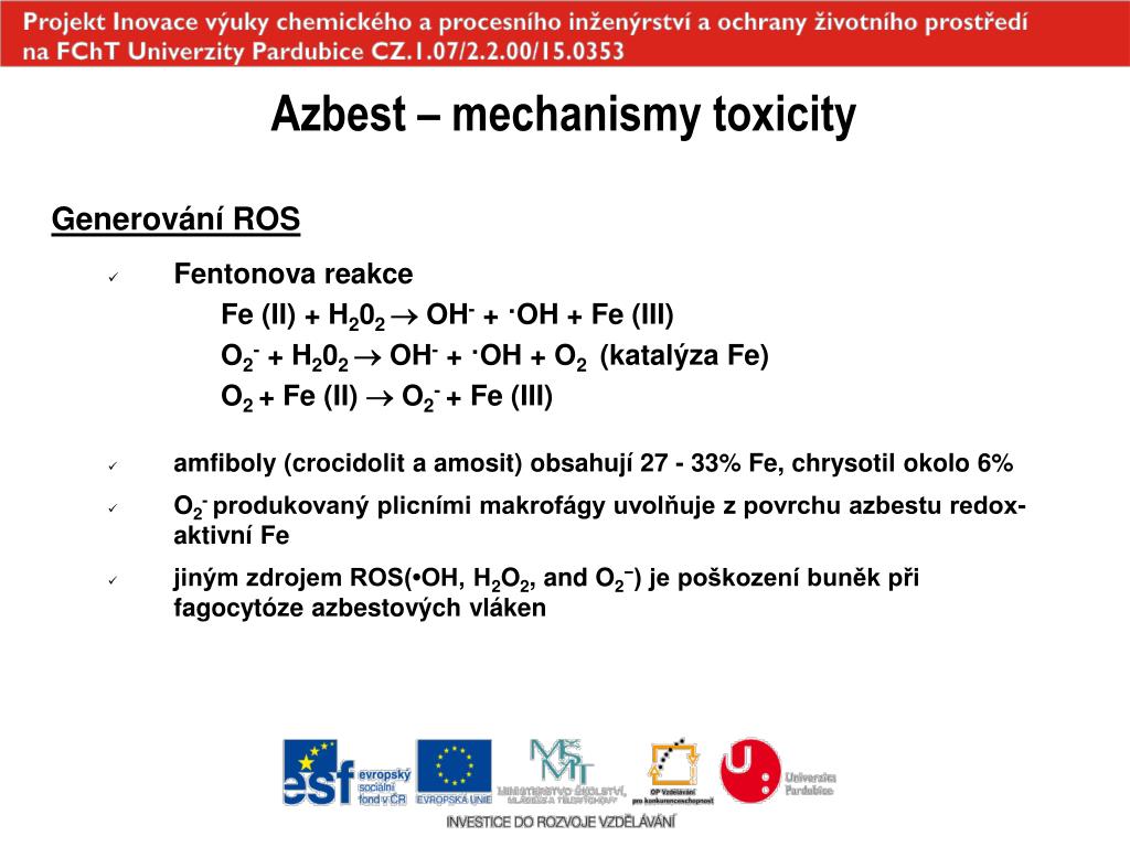 PPT - Zdravotní rizika spojená s expozicí azbestu PowerPoint Presentation -  ID:743027