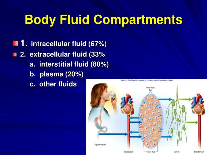 3 major body fluid compartments