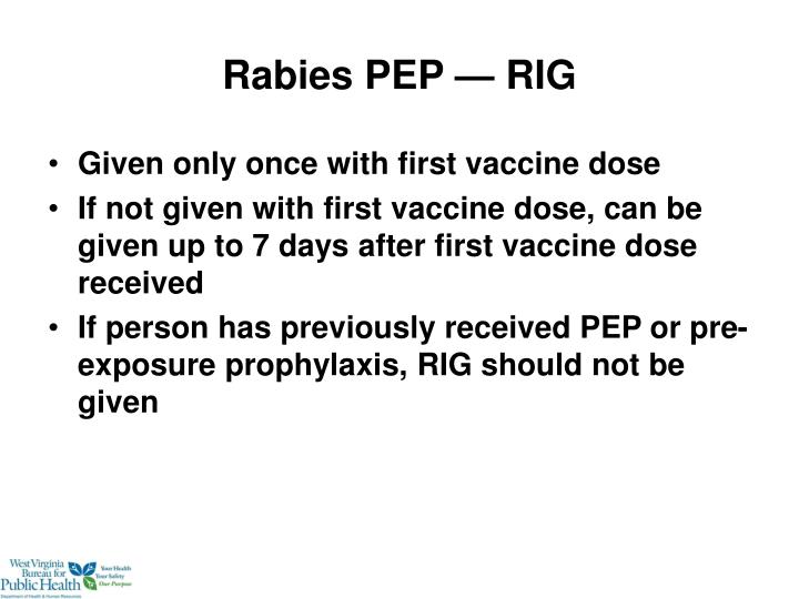 PPT - Biology and Epidemiology of the Rabies Virus PowerPoint ...