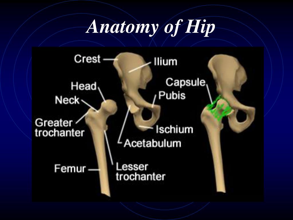 case presentation hip