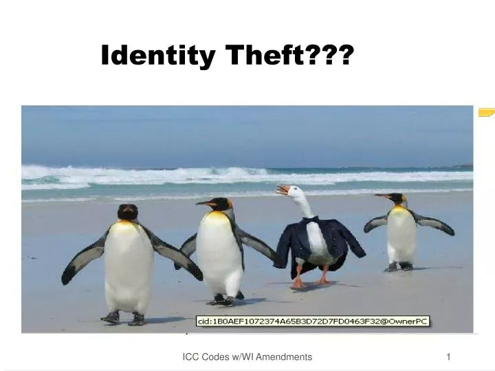 identity theft n.