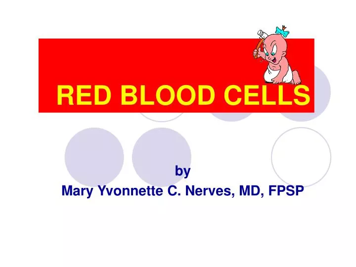 red blood cells n.
