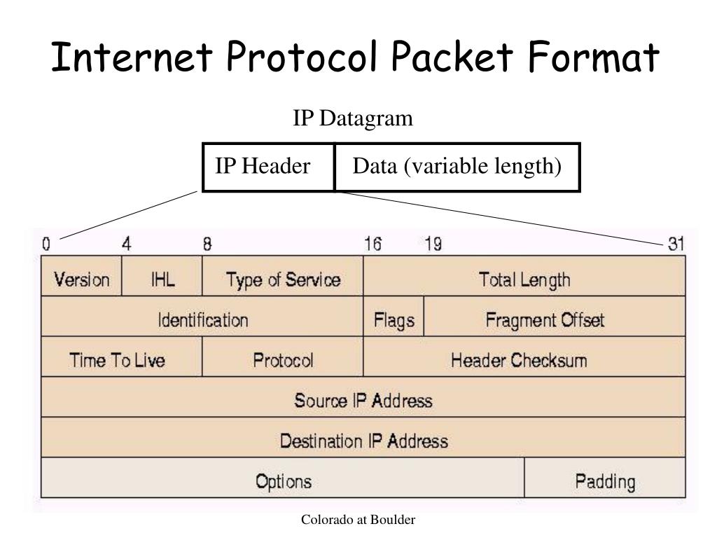 PPT - Chapter 4 Network Layer 3: The Internet Protocol (IP) PowerPoint ...