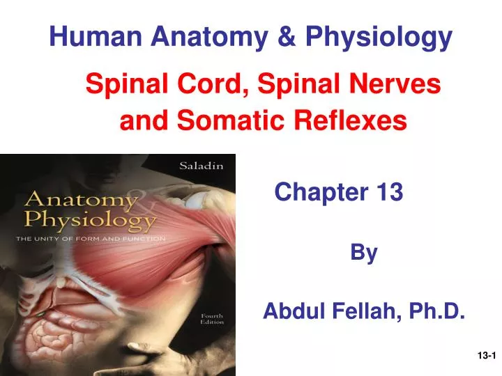 human anatomy and physiology of the human anatomy and physiology of the